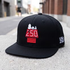 The 250 Street-Icon Cap⭐